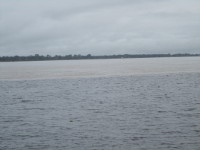Amazonas