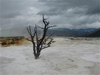 Yellowstone NP